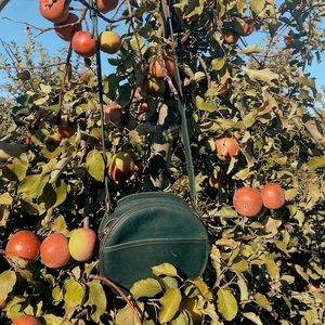Vintage Coach Green Canteen Bag